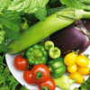 野菜ジュースと青汁の違いはカロリーと栄養価